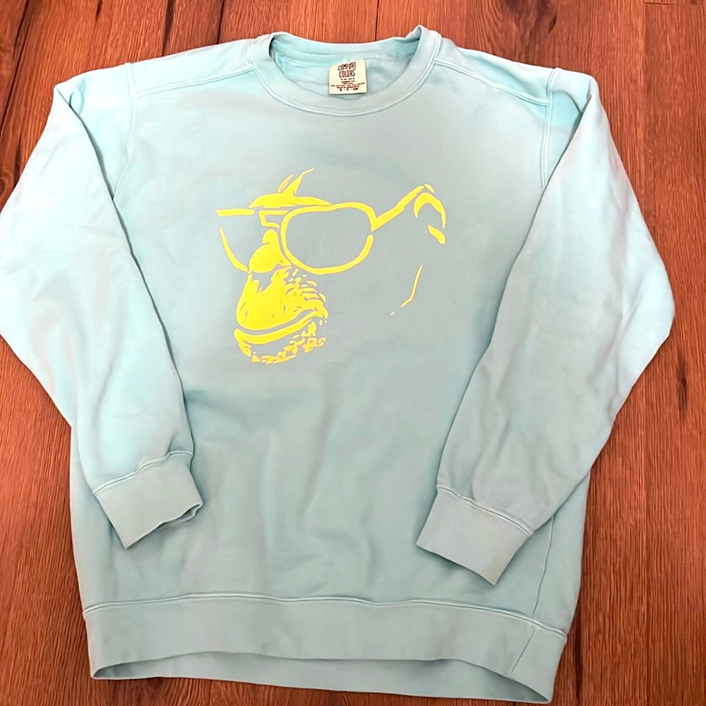Sweatshirt aqua color